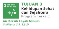 SDG 3